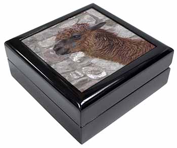 South American Llama Keepsake/Jewellery Box
