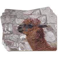 South American Llama Picture Placemats in Gift Box
