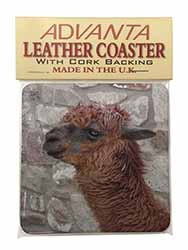 South American Llama Single Leather Photo Coaster