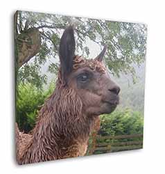 Llama Square Canvas 12"x12" Wall Art Picture Print