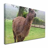 Llama Canvas X-Large 30"x20" Wall Art Print