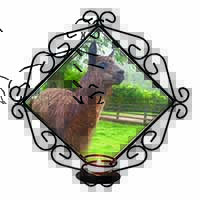 Llama Wrought Iron Wall Art Candle Holder