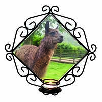 Llama Wrought Iron Wall Art Candle Holder