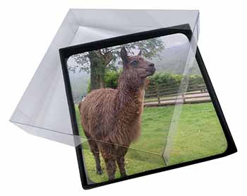 4x Llama Picture Table Coasters Set in Gift Box
