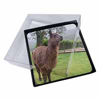 4x Llama Picture Table Coasters Set in Gift Box