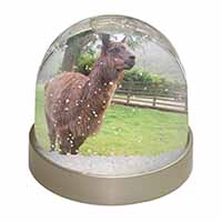 Llama Snow Globe Photo Waterball