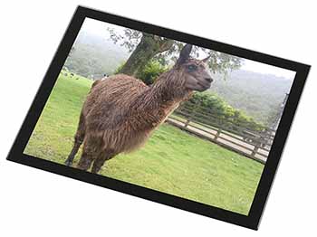 Llama Black Rim High Quality Glass Placemat