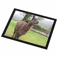 Llama Black Rim High Quality Glass Placemat