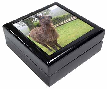 Llama Keepsake/Jewellery Box