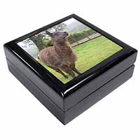 Llama Keepsake/Jewellery Box