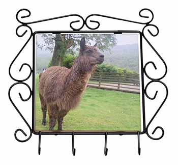 Llama Wrought Iron Key Holder Hooks