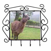 Llama Wrought Iron Key Holder Hooks