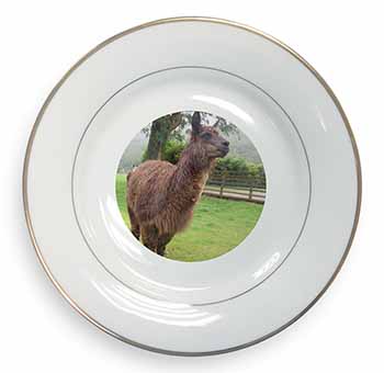 Llama Gold Rim Plate Printed Full Colour in Gift Box