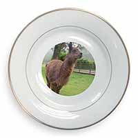 Llama Gold Rim Plate Printed Full Colour in Gift Box