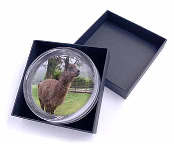 Llama Glass Paperweight in Gift Box