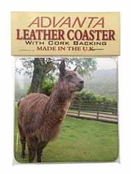 Llama Single Leather Photo Coaster