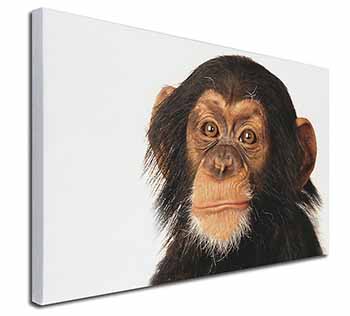 Chimpanzee Canvas X-Large 30"x20" Wall Art Print