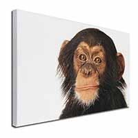 Chimpanzee Canvas X-Large 30"x20" Wall Art Print