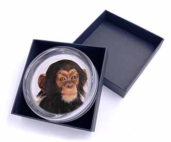 Chimpanzee Glass Paperweight in Gift Box