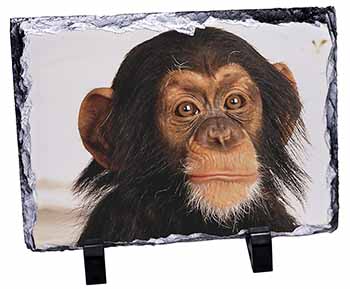 Chimpanzee, Stunning Photo Slate