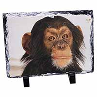 Chimpanzee, Stunning Animal Photo Slate