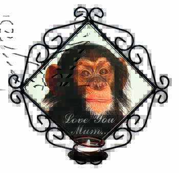 Chimpanzee 