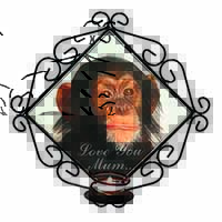 Chimpanzee 