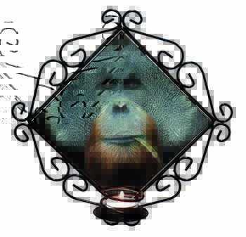 Handsome Orangutan Wrought Iron Wall Art Candle Holder