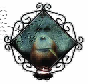 Handsome Orangutan Wrought Iron Wall Art Candle Holder