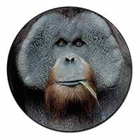 Handsome Orangutan Fridge Magnet Printed Full Colour