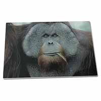 Large Glass Cutting Chopping Board Handsome Orangutan