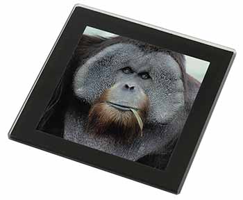 Handsome Orangutan Black Rim High Quality Glass Coaster