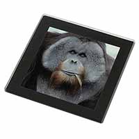 Handsome Orangutan Black Rim High Quality Glass Coaster