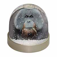 Handsome Orangutan Snow Globe Photo Waterball