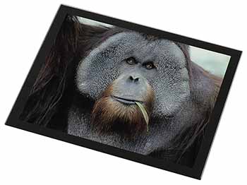 Handsome Orangutan Black Rim High Quality Glass Placemat