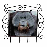 Handsome Orangutan Wrought Iron Key Holder Hooks