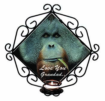 Orangutan 