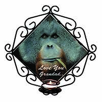 Orangutan 