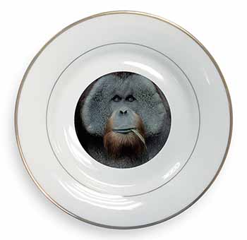 Handsome Orangutan Gold Rim Plate Printed Full Colour in Gift Box