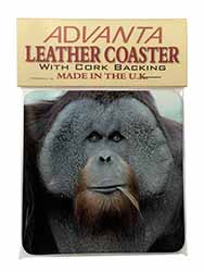 Handsome Orangutan Single Leather Photo Coaster