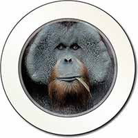 Handsome Orangutan Car or Van Permit Holder/Tax Disc Holder