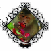 Monkey with Flowers Wrought Iron T-light Candle Holder Gift