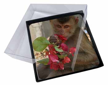 4x Monkey with Flowers Picture Table Coasters Set in Gift Box