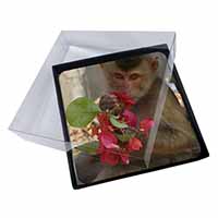 4x Monkey with Flowers Picture Table Coasters Set in Gift Box