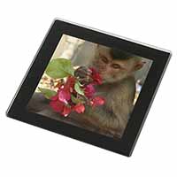 Monkey with Flowers Black Rim Glass Coaster Animal Breed Gift