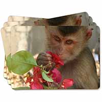 Monkey with Flowers Picture Placemats in Gift Box