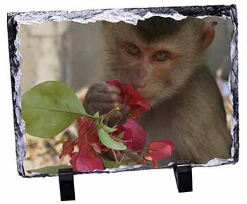 Monkey with Flowers Photo Slate Christmas Gift Ornament