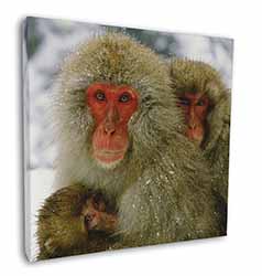 Monkey Family in Snow Square Canvas 12"x12" Wall Art Picture Print