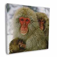 Monkey Family in Snow Square Canvas 12"x12" Wall Art Picture Print