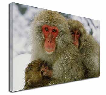 Monkey Family in Snow Canvas X-Large 30"x20" Wall Art Print